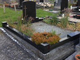 Des iphone January 2016 256