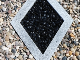 charlie 15.05.16-2 064