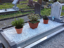 Des iphone January 2016 041